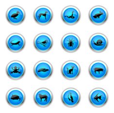 Blue Icons - Pets
