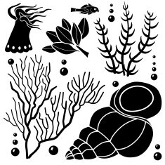 sea life design elements N4