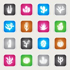Multicolor Icons - Cactuses