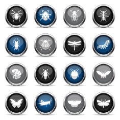 Supergloss Icons - Insects