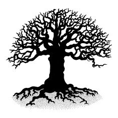 tree silhouette N52