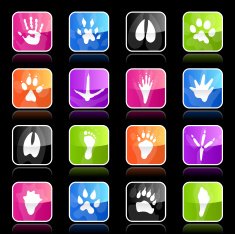 Ubergloss Icons - Animal Tracks