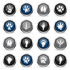 Supergloss Icons - Animal Tracks