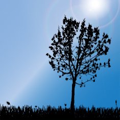 Vector silhouette of tree N6