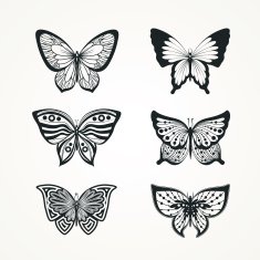 Set of butterflies N7