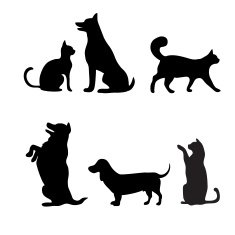 Cats and dogs set