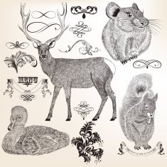 Collection of vector animals and flourishes for design
