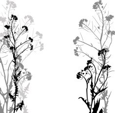 Silhouette of herbs and flowers N7