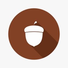 Vector Flat Icon of Acorn