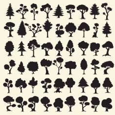 Black trees silhouettes collection