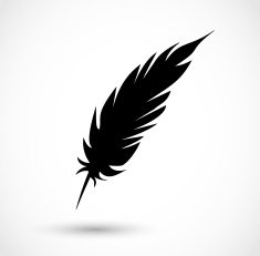 Feather icon vector