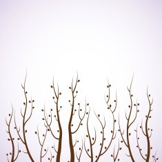Tree branches Seasonal abstract background