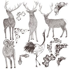 Collection of vector hand drawn animals