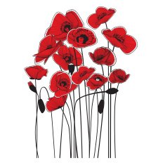 Red poppies N9