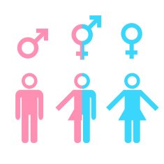 Transgender transsexual concept N2