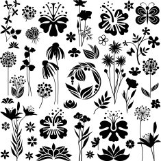 Botany collection
