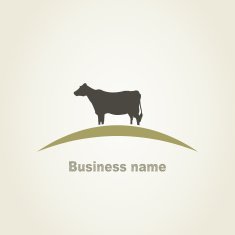 cow N23