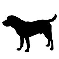 Vector silhouette of a dog N160