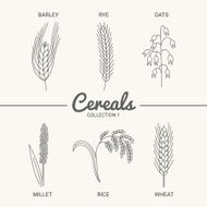 Set of six cereals