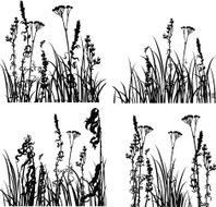 Four silhouettes of flowers and grass