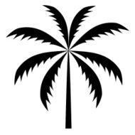 Silhouette of Palm Tree Vector illustration N4