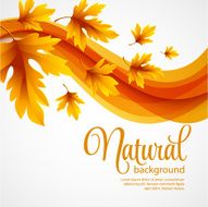 Autumn leaves background Vector illustration N3