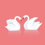 Love of two swans