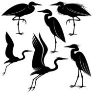 Heron N6