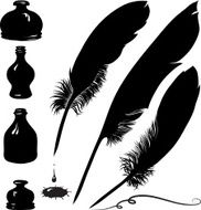 Feathers N34
