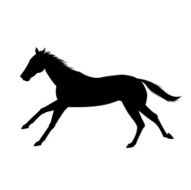 horse silhouette vekt&ouml;r