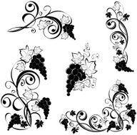 Design elements - Grapevine