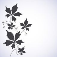 Floral background with a vine