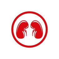 Human Kidney Single flat icon Vector symbol