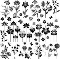 Black floral set