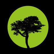 Tree N71