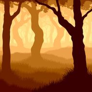 Square illustration within forest