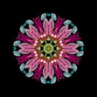 Arabesque ornament for your design N25
