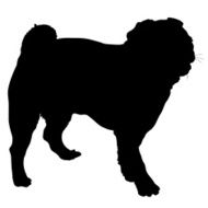 Pug Silhouette N2