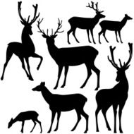 Deer silhouette set N2
