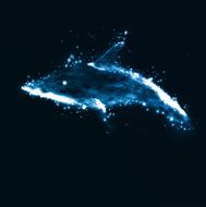 Neon dolphin abstract futuristic art N3
