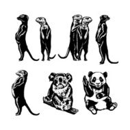 Collection of animals N8