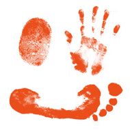 Collection of finger hand foot prints Isolated