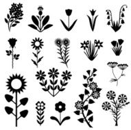 Flower set N9