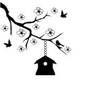 bird house N6
