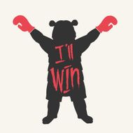 bear boxer