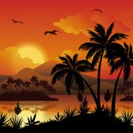 Tropical islands palms flowers and birds N3