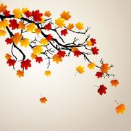 Vector Autumnal Background