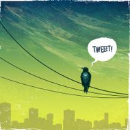 Bird on wire
