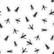 seamless pattern black silhouettes of mosquitoes on white background Vector
