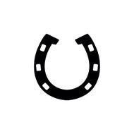 Horseshoe illustration N3